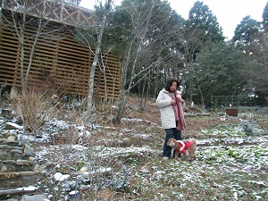 家族やグループで泊まれる貸別荘　古湯の森　春野邸